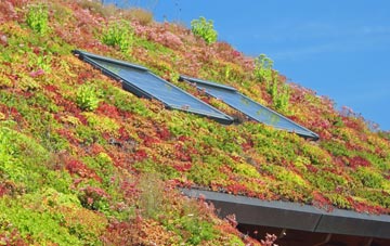Cresselly living roof systems