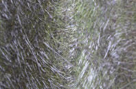 Cresselly fibreglass roof work